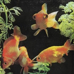 Gusto's Bungalow - Brudenell Groove Mix 31/05/2020