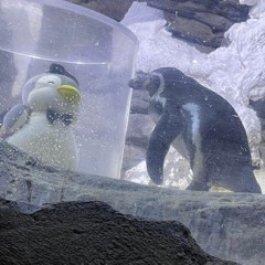 /YOUR MY MUSIC/ sped up!