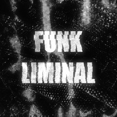 FUNK LIMINAL - Slowed