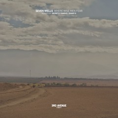 Seven Wells - Where Wise Men Fear (Dhany G Remix) [3rd Avenue]