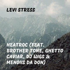 levi stress