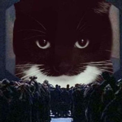 Kat Tracks #2 - Sykat