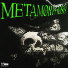 METAMORPHOSIS