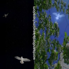 #wordsandbirds (444jet)