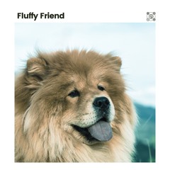 Home on Halloween Calming Music for Dogs, Pt. 16