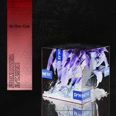 In The Cut (feat. Soudiere)