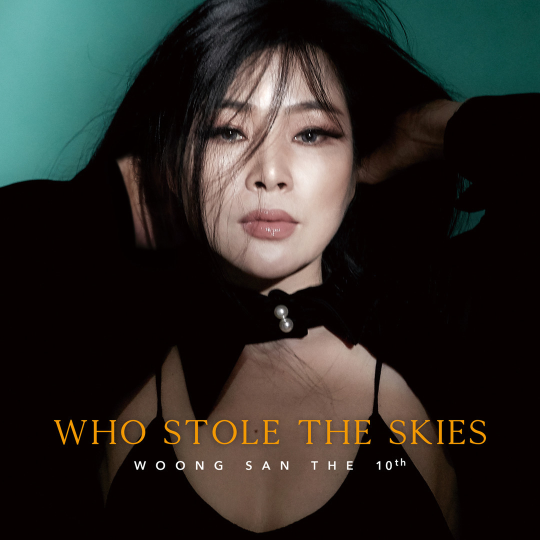 웅산 Who Stole the Skies 앨범 커버