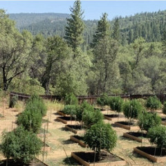 MONEY COME & GO BY-IHY JUICE