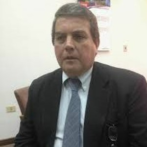 Ing. Guillermo Krauch, vicepresidente del IPPSE., Informe lapidario sobre la situación de la Ande