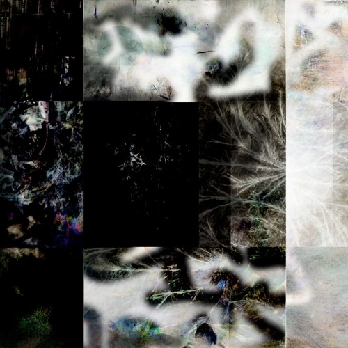 extra dimensional - Cy Interxse