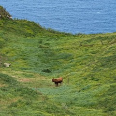 Episode 374: The 2009 ConAgra Explosion