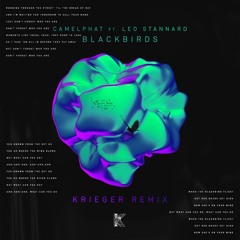 CamelPhat ft. Leo Stannard - Blackbirds (KRIEGER Remix)
