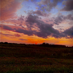 sun down (demo)