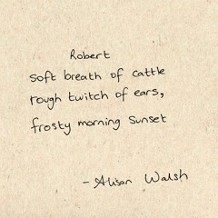 Robert McLaughlin - by Alison Walsh