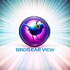 Bird's Ear View 2023 Top Underground Jams for Deep Space Radio (Hosted & Mixed by MickeyTheMoocher)