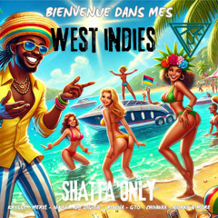 BIENVENUE DANS MES WEST INDIES - DJ PUZ (SHATTA ONLY)