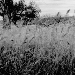 "Wilderness" Dope/Dark/Oldschool Hip Hop Beat prod Szk.LanY