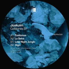 Joakuim - Coldtones EP [REPRV028]