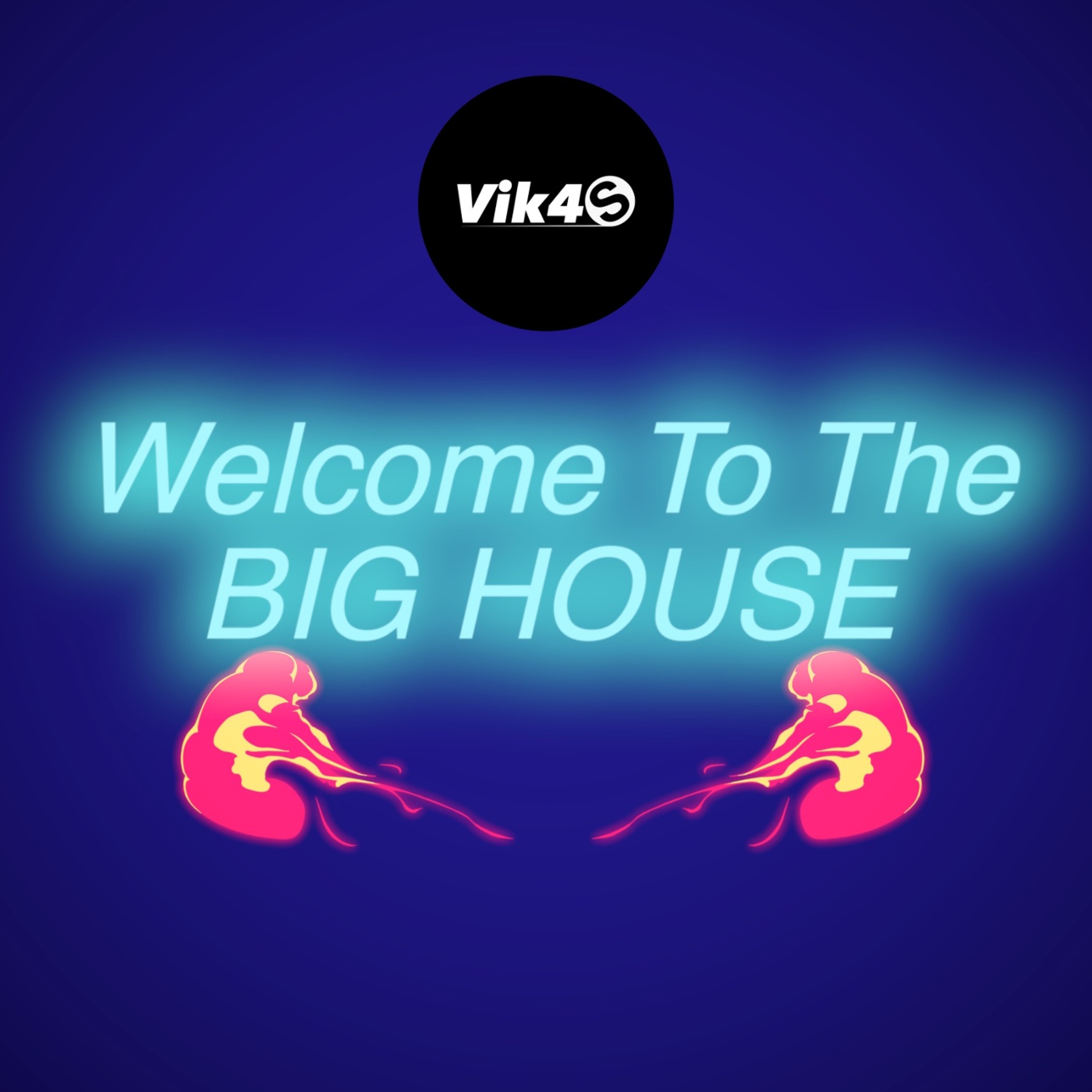 Vik4S Music