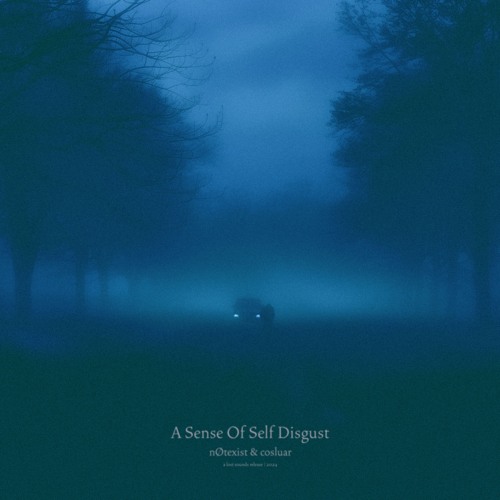 nØtexist & cosluar - a sense of self disgust