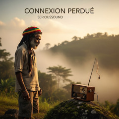 Connexion Perdue