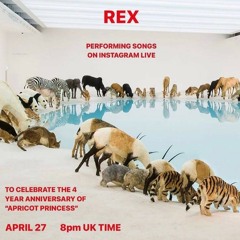 Rex Orange County - Good Days (SZA cover)