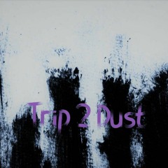 Trip 2 Dust - Revisit