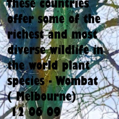 Paul Zentos Podcast 1209 @ These countries offer some of the richest and most diverse wildlife in the world plant species - Wombat ( Melbourne) 12 06 09