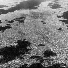 [GCR009] Leaving - Leaving LP