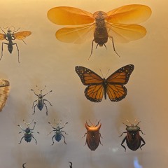 i wrote it in my book about the things i hate