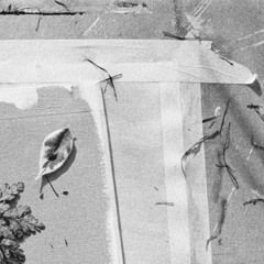 Untamed Heart (Melting Heart Remix)