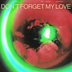 Don't Forget My Love (BURNS Remix)