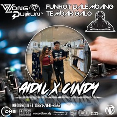DJ WONG DUSUN REMIX l DUGEM PICA PICA X YALI YALI X STECU l SPESIAL REQUEST AIDIL X CINDY 2025.mp3.m