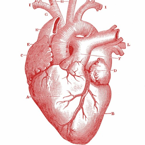 Captive Hearts