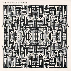 洋楽 7\"Move On Up / LETTUCE feat. DWELE Listen to Move On Up (feat. Dwele) by Lettuce in Funky shit