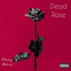 Dead Rose