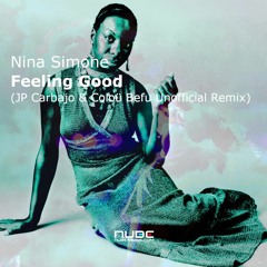 Nina Simone - Feeling Good (JP Carbajo & Colou Befu Unofficial Remix)