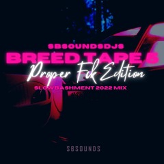 SbSounds Presents Breed Tape 5 - Proper Fck - Slow Bashment Dancehall 2022