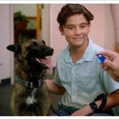 R.A.D.A.R.: The Adventures of the Bionic Dog (2023) FullMovie MP4/HD 6797