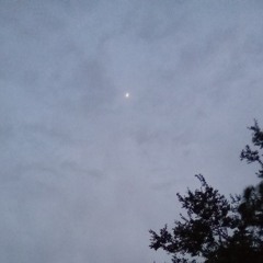 Babylon Forever Fall