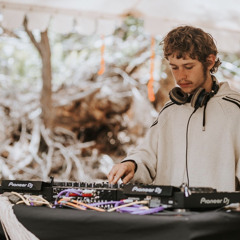 Ziggy - 2023 Quick Release