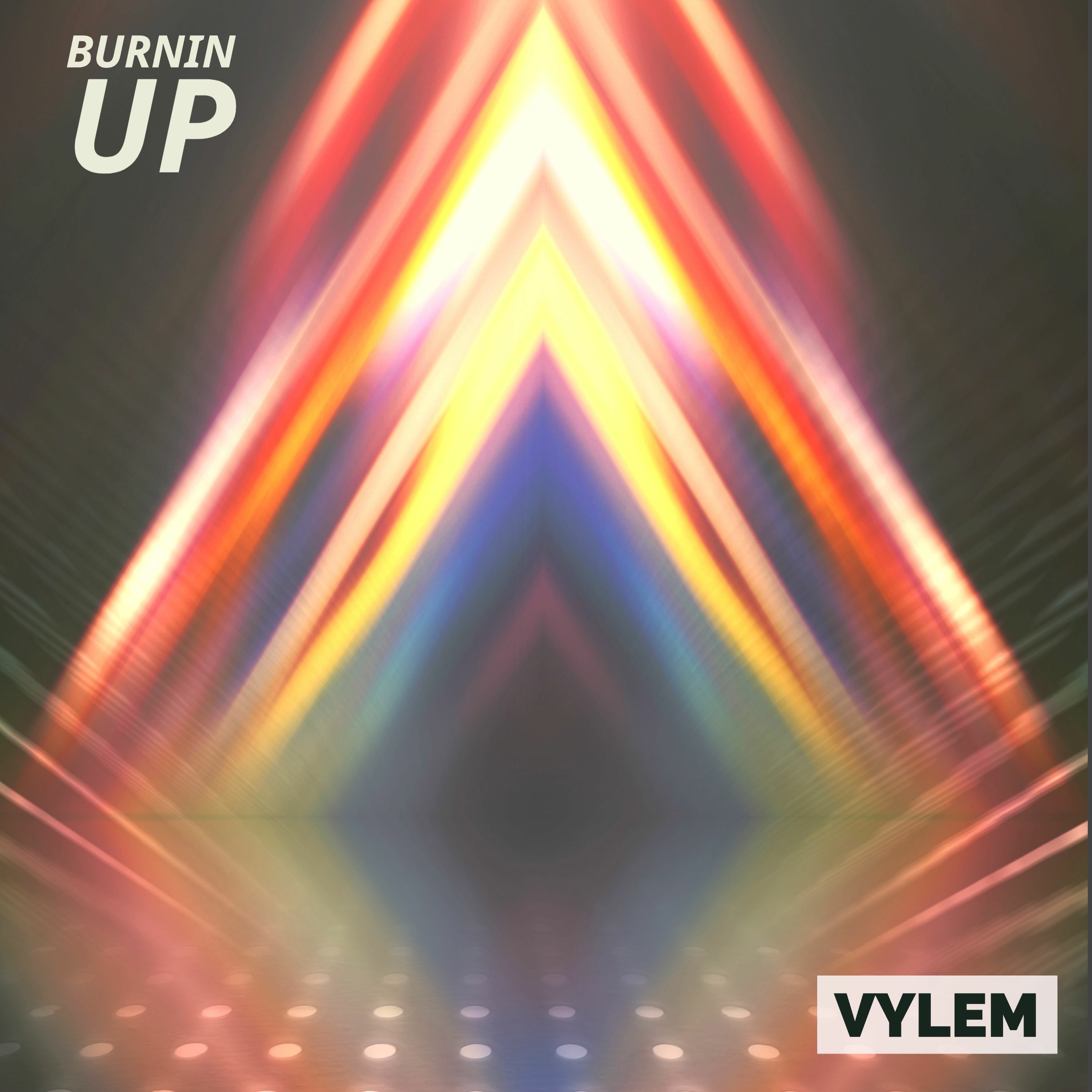 VYLEM