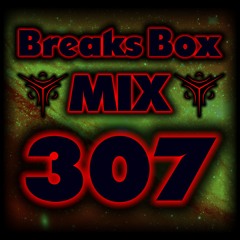 Break Beat Mix 307
