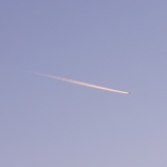 love.exe (prod. Am:Crea!!) [サブスク配信中]