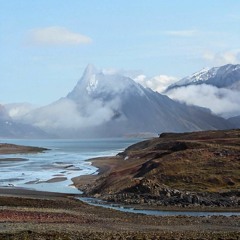 Animals (Architects Cover)