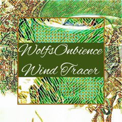 Wolfsonbience - Wind Tracer
