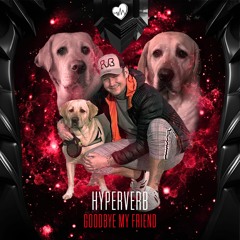 Hyperverb - Goodbye My Friend