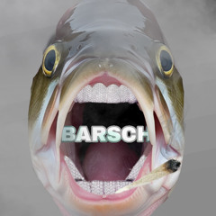 BARSCH Prod. Morteh