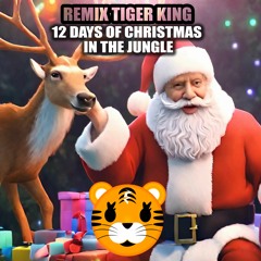 12 DAYS OF CHRISTMAS IN THE JUNGLE | Remix Tiger King | Hip Hop TikTok Rap Party Dance Club Music