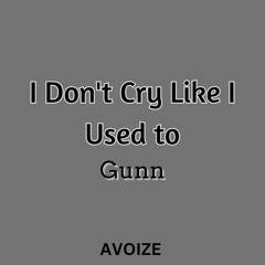 I Don't Cry Like I Used to-Gunn(AVOIZE Remix)